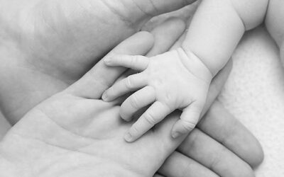 MAMÁ Y PAPÁ Y EL SÍMIL DE LA VIDA Y EL MUNDO